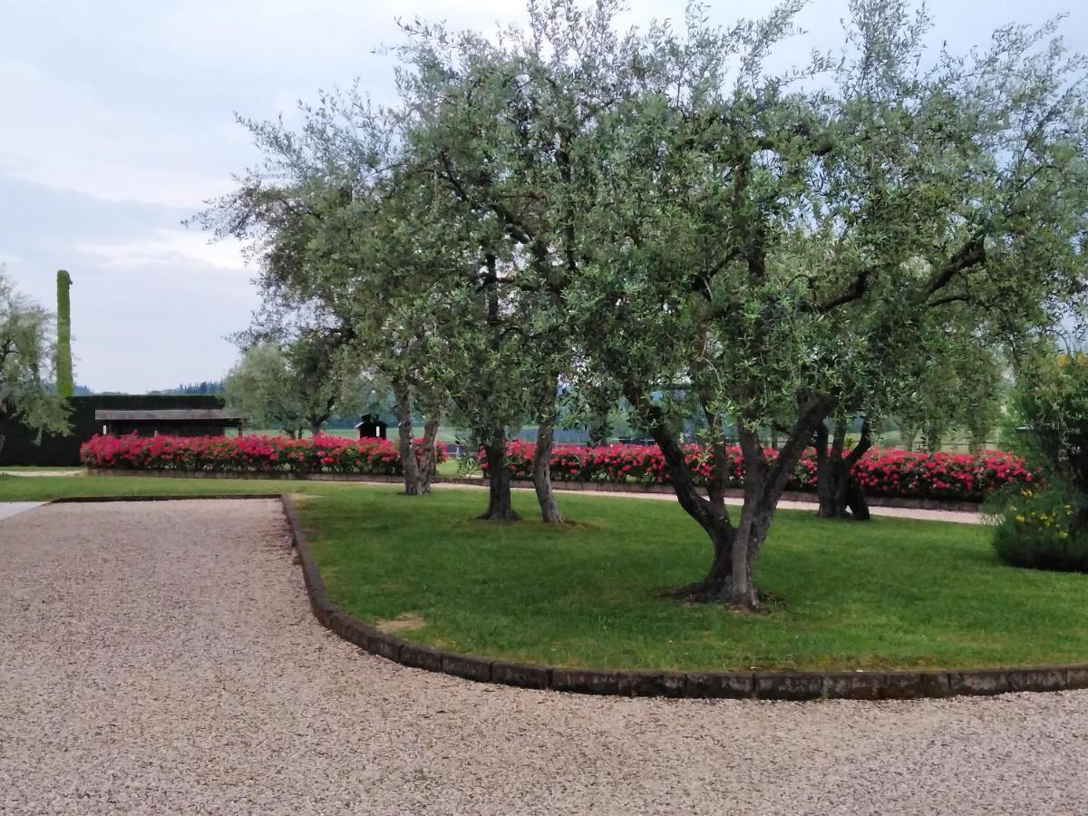 Agriturismo Le Ginestre Лацизе Екстер'єр фото