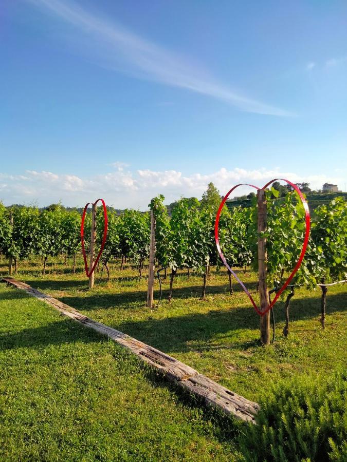 Agriturismo Le Ginestre Лацизе Екстер'єр фото