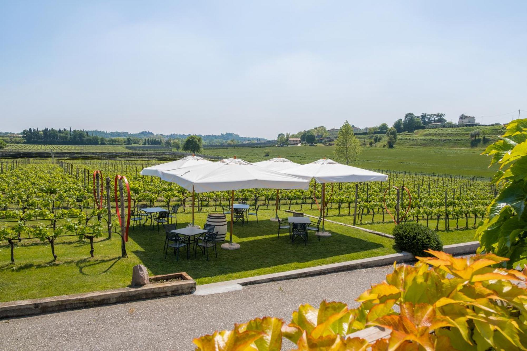 Agriturismo Le Ginestre Лацизе Екстер'єр фото